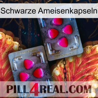Black Ant Capsules 15